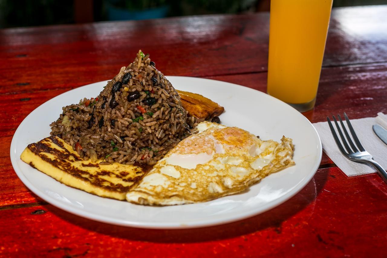 Arenal Container Hostel La Fortuna Eksteriør billede