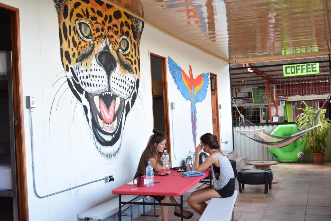 Arenal Container Hostel La Fortuna Eksteriør billede