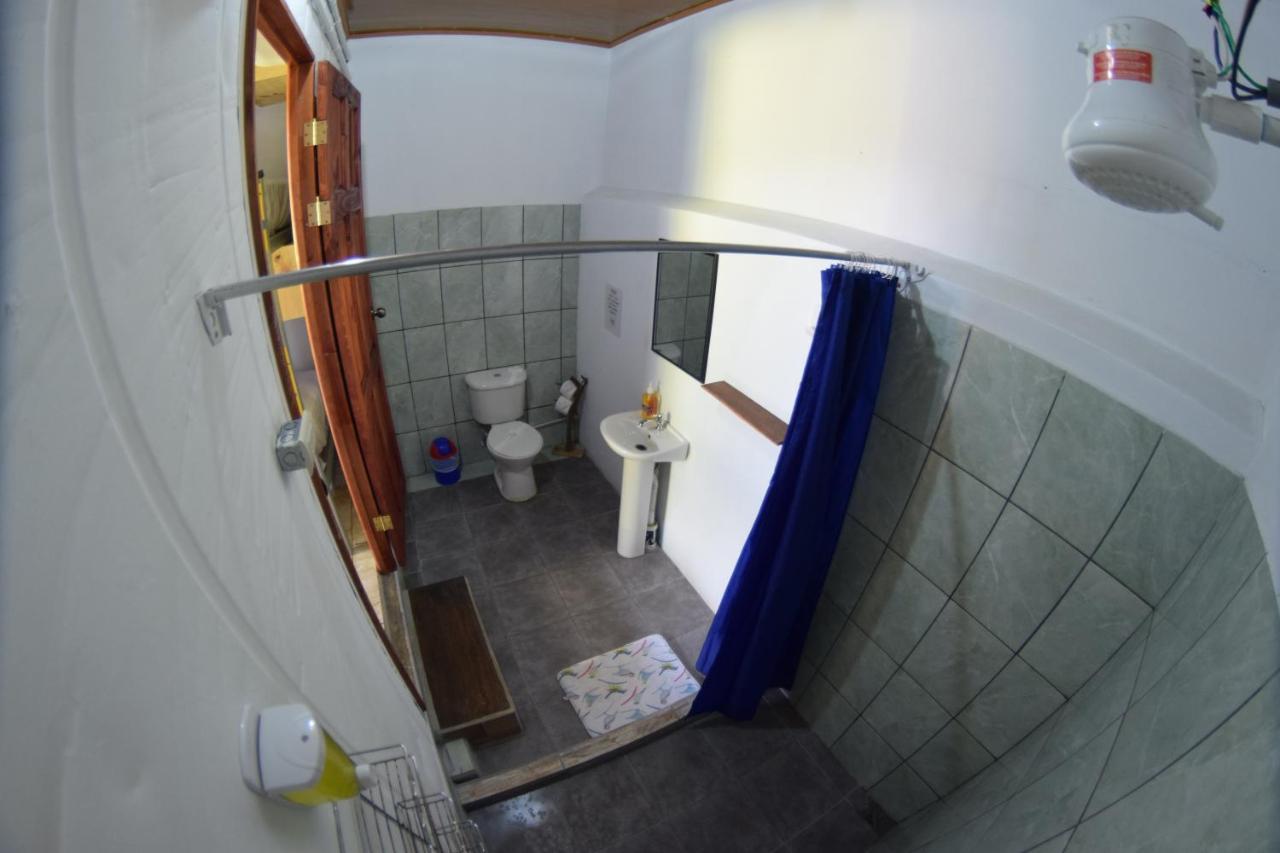 Arenal Container Hostel La Fortuna Eksteriør billede