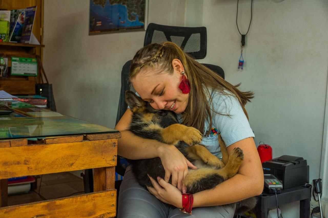 Arenal Container Hostel La Fortuna Eksteriør billede