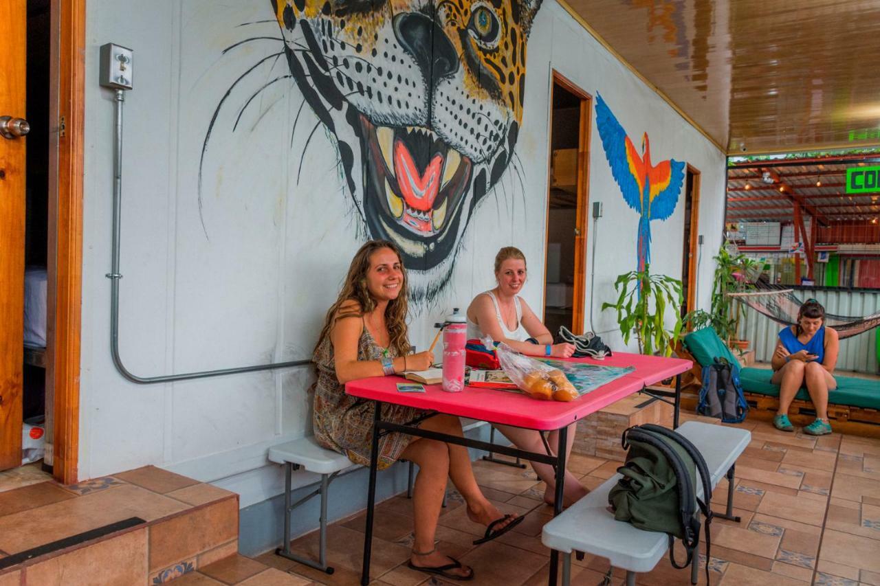 Arenal Container Hostel La Fortuna Eksteriør billede